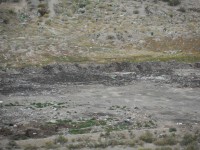 /album/fotogaleria/sam-0239-jpg/