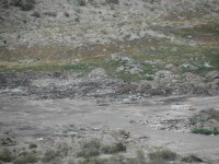 /album/fotogaleria/sam-0240-jpg/